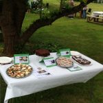 IMG_1185 IMG_1185