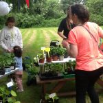IMG_1200 IMG_1200